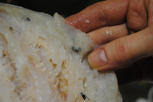 Šventėms pirko lydekų – viduje rado tai, ką parduoti draudžiama