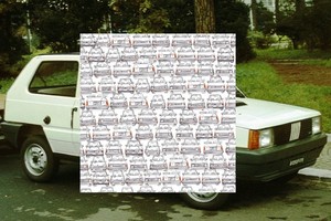 Surask pandą: žaidimo versija tikriems automobilių gerbėjams