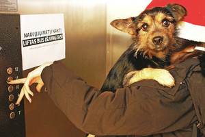 Naujieji metai daugiabučio lifte? Tai įmanoma!