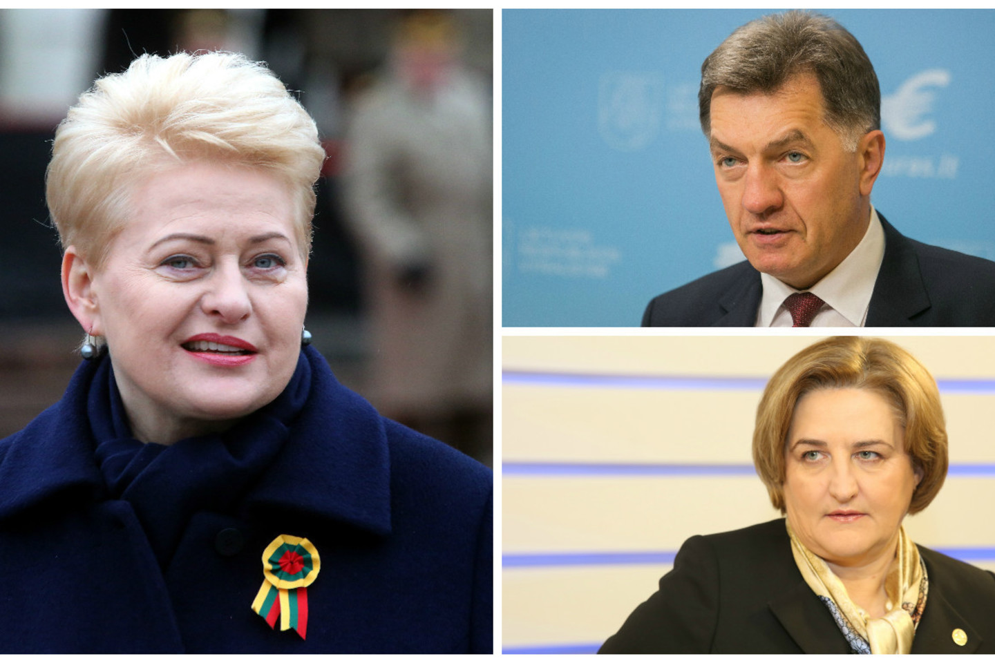 Aukščiausi valstybės vadovai 2016-uosius pasitiks Lietuvoje.