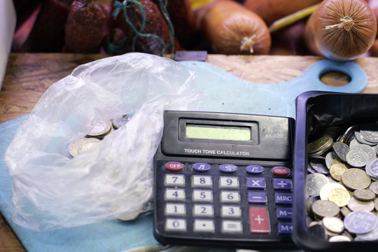 Metai su euru: į parduotuvę – su skaičiuotuvu?