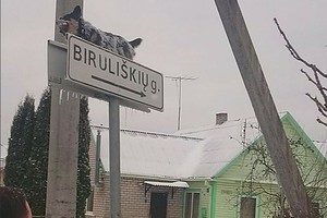 Merginos įkeltos nuotraukos „Facebook“ šokiravo internautus