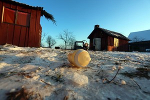 „Caritas“ – apie moteris, paliekančias vaikus su smurtautojais