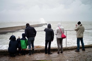 Jungtinėje Karalystėje per plauką išvengta ekologinės nelaimės