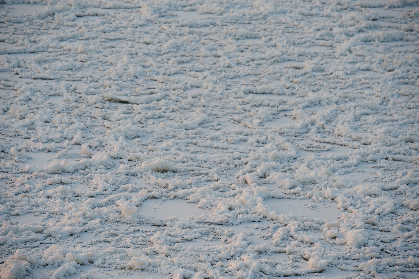 Vilniuje žiema parodė nagus.<br>V.Ščiavinsko nuotr.