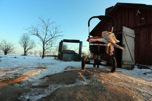 Tragedijos Saviečiuose aplinkybės: ar galėjo išgelbėti vaikus?
