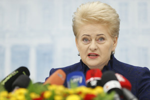 Prezidentė: „Socialiniai darbuotojai dangstosi dokumentais“