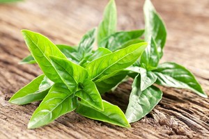 4 natūralūs „antibiotikai“, kuriuos turite savo namuose