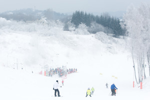 Pramogų parke Kretingos rajone susižalojo vaikas
