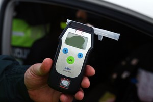 Ekspertų išvados: buvo bandoma nuslėpti D. Gineikaitės girtumą