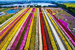 Svaiginantis grožis iš aukštai: nepatikėsite, kur tai užfiksuota