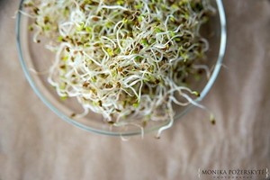 Žinovė pataria, kaip žiemą namuose užsiauginti žalėsių