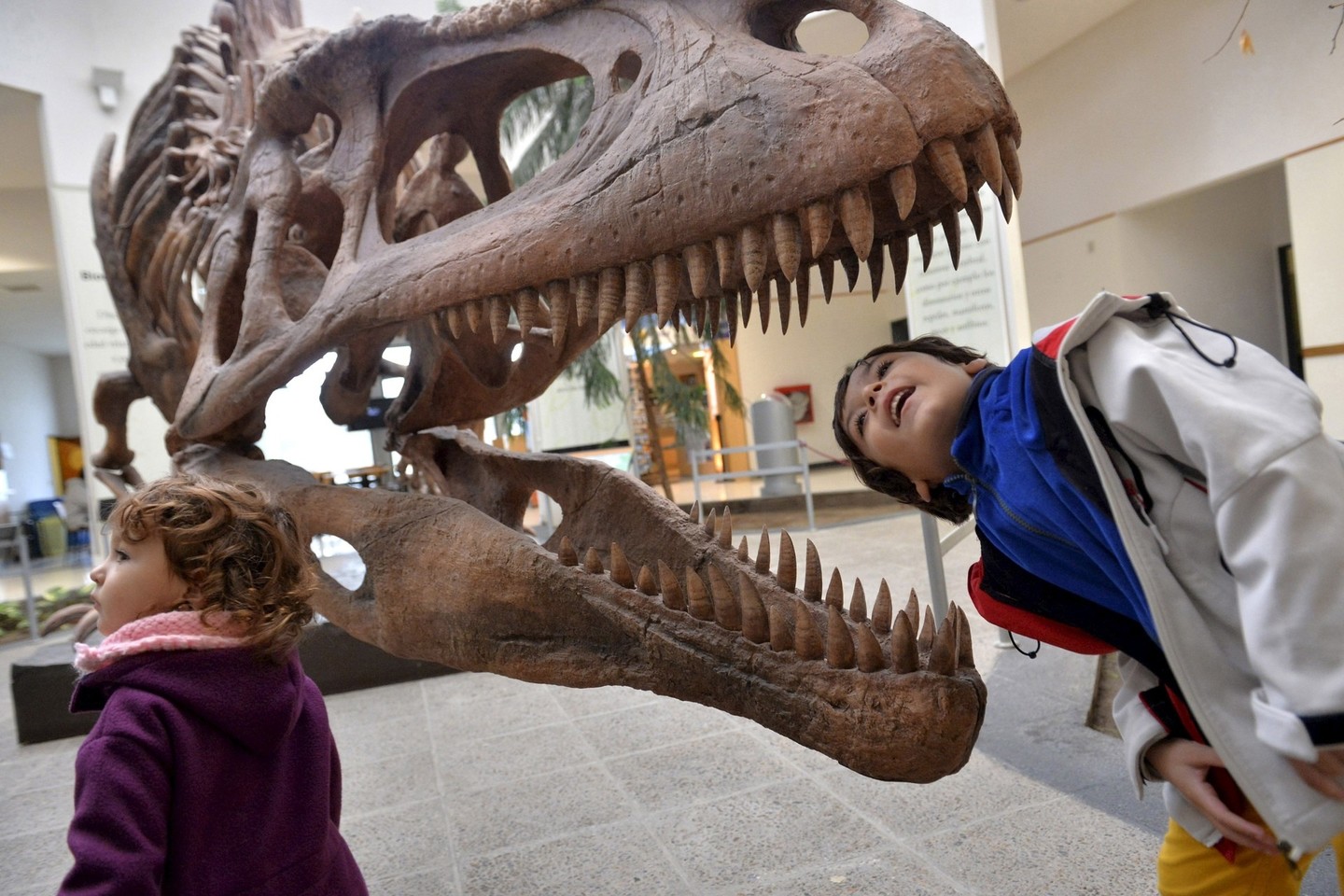 Jei nebūtų išmirę kreidos periodo gyvūnai, dinozaurai ko gero vis dar dominuotų mūsų planetoje.<br>Reuters/Scanpix nuotr.
