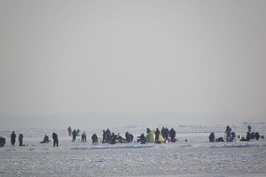 Vandenyje atsidūrusį žveją išgelbėjo šalia buvę stintautojai