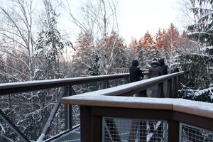 Medžių lajų takas sulaukė tarptautinio pripažinimo