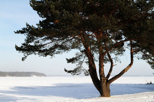 Šalčio sukaustytame marių paplūdimyje net ir žiemą netrūksta romantikos mėgėjų.<br>M.Patašiaus nuotr.