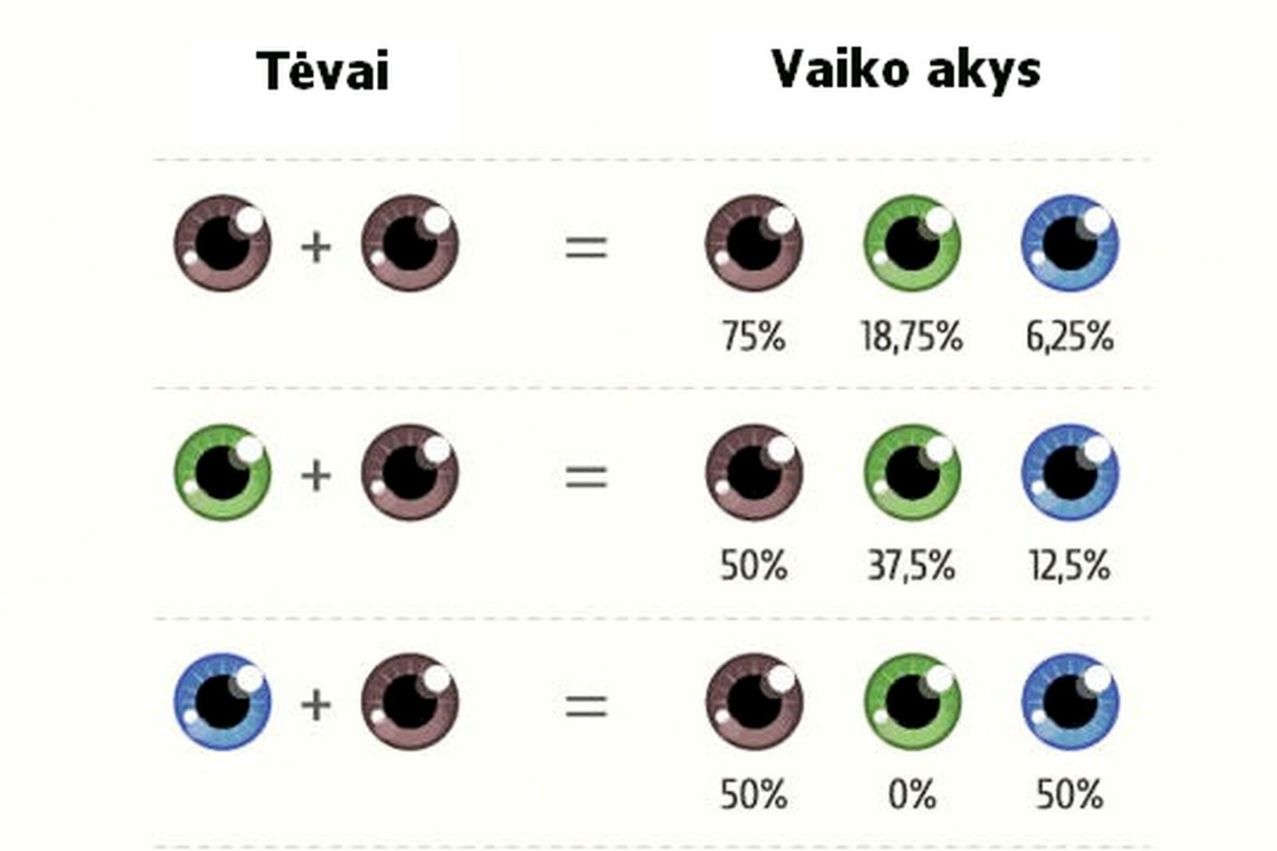 Цвет глаз человека определяется. Генетика цвета глаз у ребёнка от родителей таблица. Таблица наследования цвета глаз ребенком. Вероятность цвета глаз у ребенка таблица. Какого цвета будут глаза у ребенка если у родителей карие и голубые.