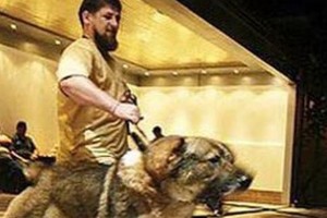 Rusijos opoziciją grasina užpjudyti R. Kadyrovo šunimi Tarzanu