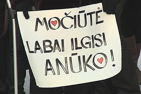 Lietuvių siekis pagrobti Norvegijoje atimtus vaikus – žlugo