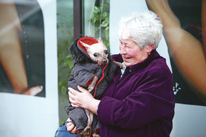 Kauniečiai savo šunims lyg vaikams siuva madingus drabužius