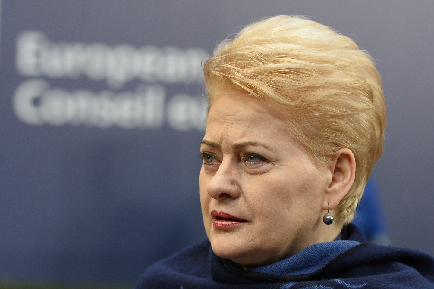 „Vandens saugumas – aktualus ir Lietuvai. Mūsų valstybė gerai tvarko savo vandens išteklius ir gali didžiuotis puikia jo kokybe“, – sakė D. Grybauskaitė.