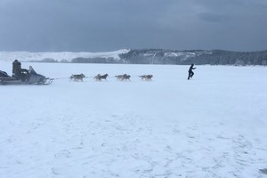 Filmo „Tarp pilkų debesų“ kūrėjai Sibirą filmuoja Nidoje