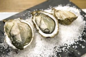 Austrių atidarinėjimo asas kiautą gali atverti banko kortele