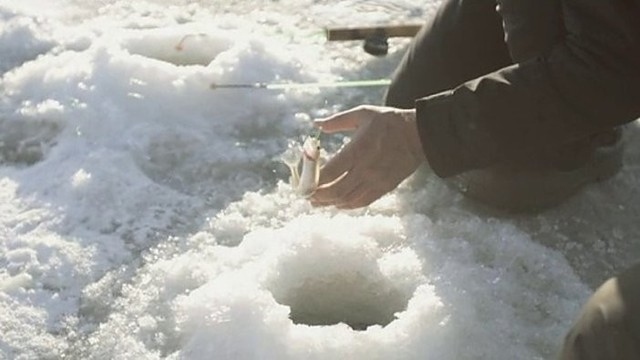 Stintų žvejyba ant Kuršių marių ledo (II)
