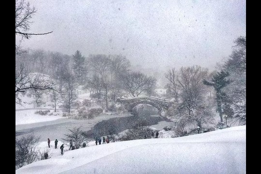 Po galingos sniego audros JAV vaduojasi iš pusnų.<br>„Instagram“ nuotr.