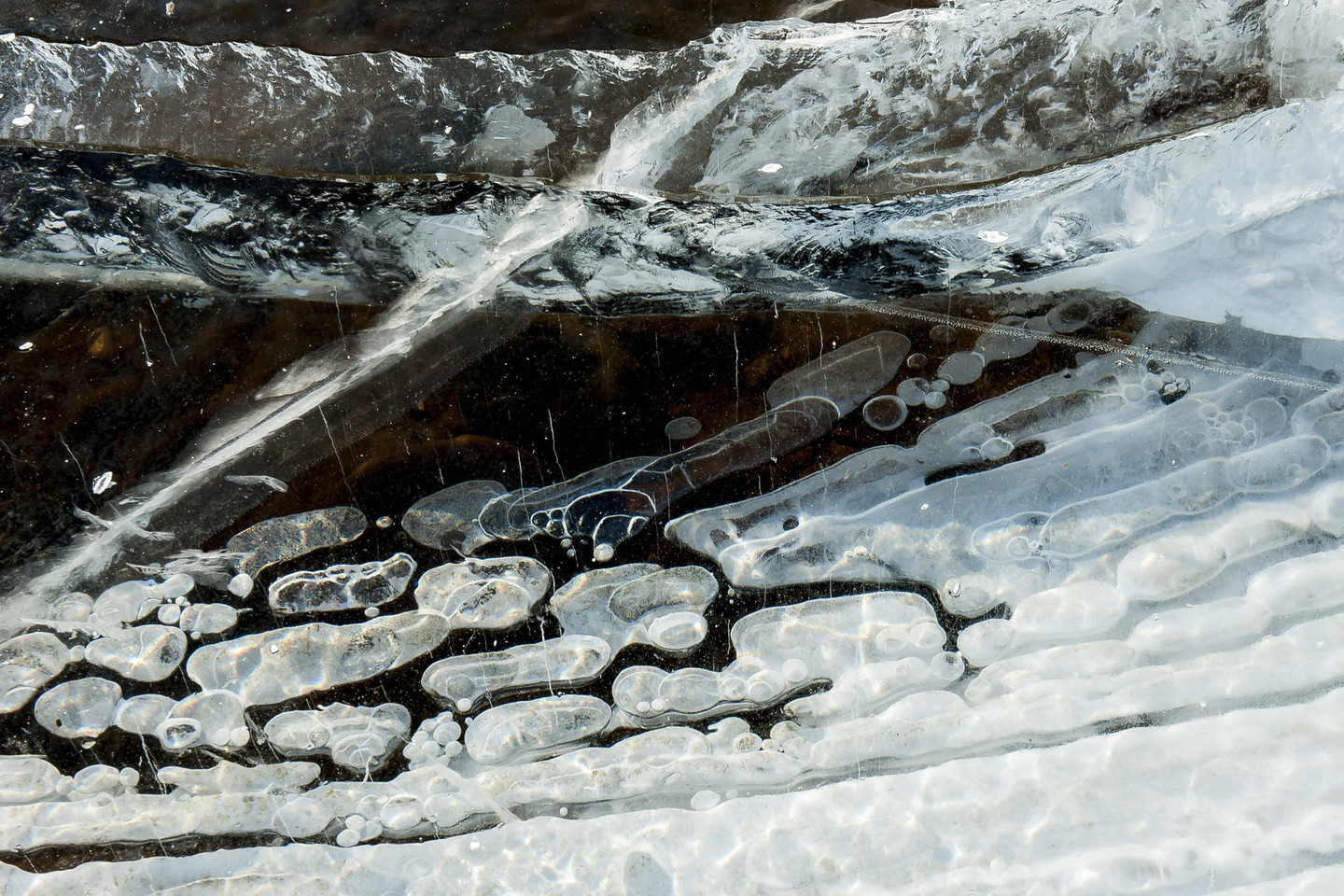 Ant Kuršių marių ledo paklydusius žvejus išgelbėjo ugniagesiai<br>V.Ščiavinsko nuotr.
