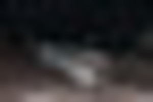 Jurbarko r. nuo smūgio mašina nulėkė į griovį