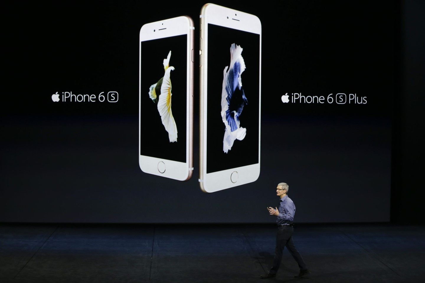 „Apple“ pirmąjį finansinį ketvirtį pardavė 74,8 mln. „iPhone“ išmaniųjų telefonų.