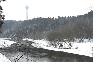 Fotomenininkas dar trims Neries saloms pasišovė suteikti vardą
