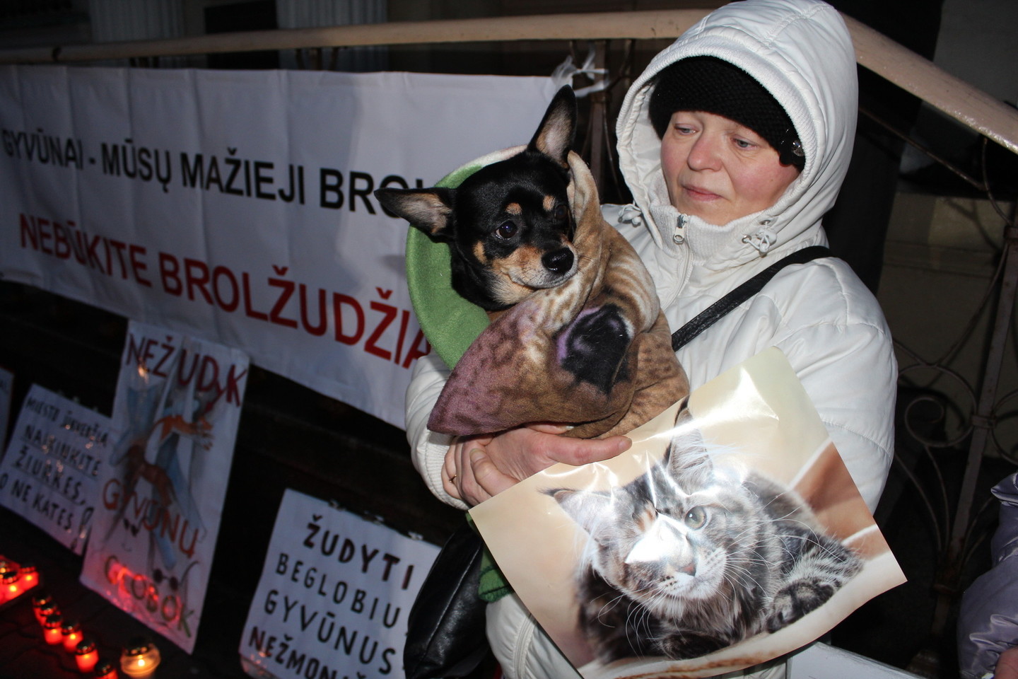 Žudyti benamius gyvūnus – nežmogiška.