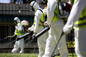 PSO prognozuoja, kad Zika virusu užsikrės iki 4 mln. žmonių