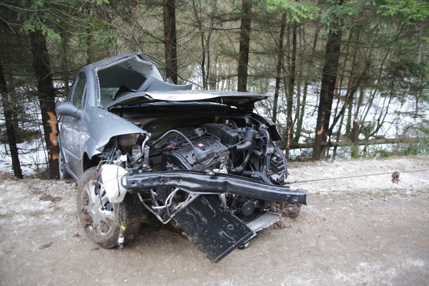 Trakų r. nuslydęs moters „Citroen“ trenkėsi į medį.