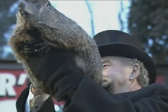 Garsiausio JAV švilpiko Filo prognozė pradžiugino amerikiečius