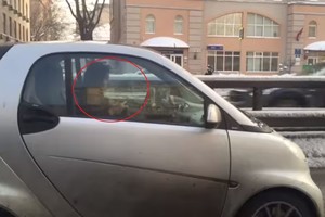 Barbė devyndarbė vairuodama mieste gali ir megzti