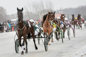Vadeliotojai aprauda ištirpusį Sartų ledą: praradome pinigus