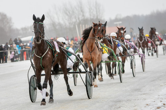 Vadeliotojai aprauda ištirpusį Sartų ledą: praradome pinigus