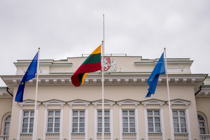 Prezidentės patarėjas: „V.Uspaskichui bauda galėjo būti didesnė“