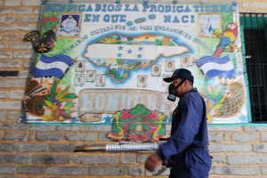 Australijoje aptikti Zikos virusą platinantys uodai