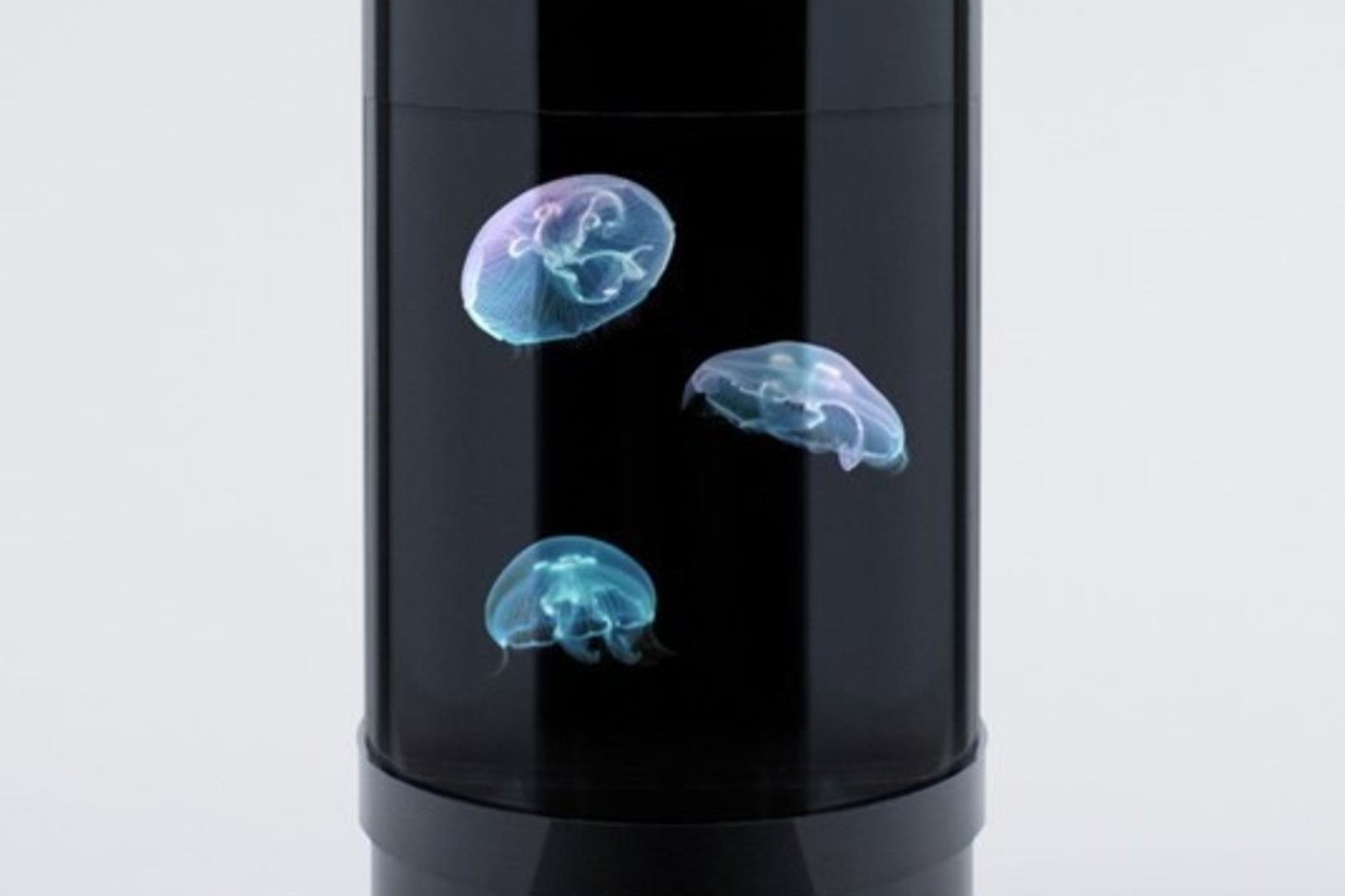Akvariumas yra cilindro formos, 7,5 l tūrio, o komplekte yra ir reikalingas medūzų priežiūros rinkinys.<br>Jellyfish Art nuotr.