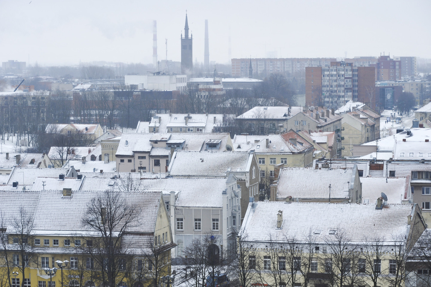 Kodėl savivaldybė negali nuvežti kelių pliauskų?