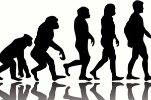 Apie tikėjimą iš esmės. Kas tave sukūrė?