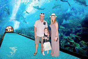 Daina Bosas su vyru geriau neįsigis brangaus daikto, bet keliaus