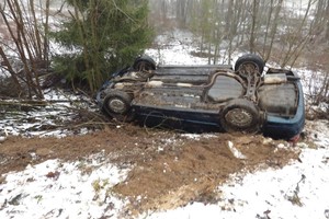 Girto vairuotojo kelionė baigėsi pakelės krūmuose