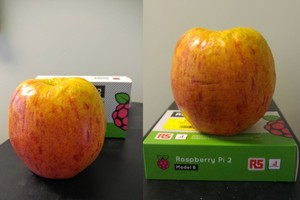 Ar žinote, kiek laiko negenda obuolys? Atsakymas jus priblokš