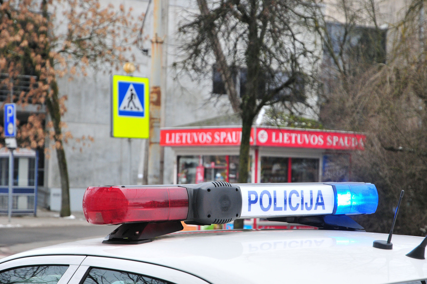 Vilniaus perėjoje „Toyota“ partrenkė moterį.