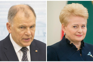 Vytenis Andriukaitis apie prezidentę: „Vienvaldis karalius“